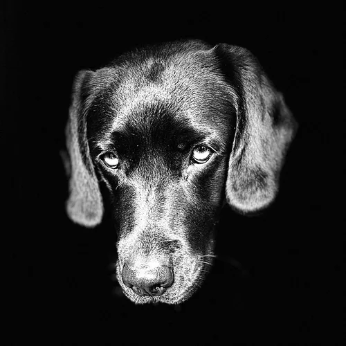 Test 6 - Thumbnail 2