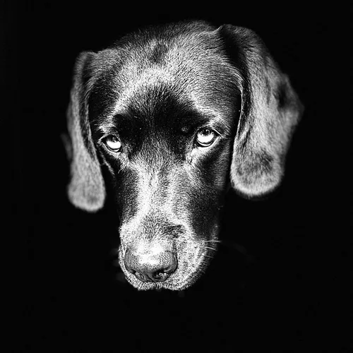 Test 6 - Thumbnail 4